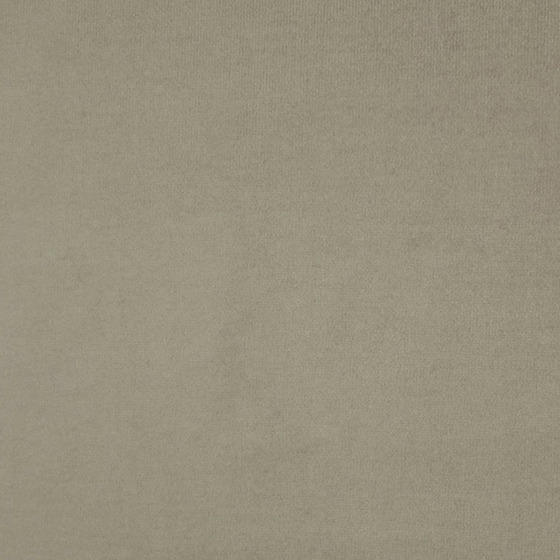 Velluto di Cotone Italian velvet