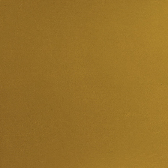Pittura murale per interni