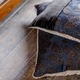 Carrè Stripe