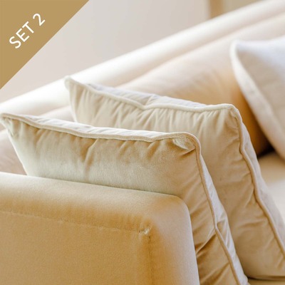 Luxurious Cushions' Set in designer velvet