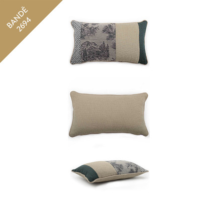 Luxurious Cushions' Set in designer fabric