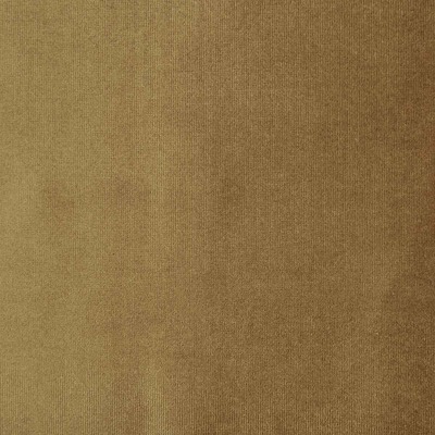 Velluto di Cotone Italian velvet