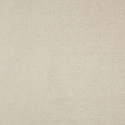 Velluto di Cotone Italian velvet