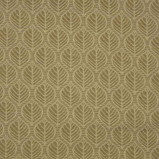 Esteta Tessuto pregiato